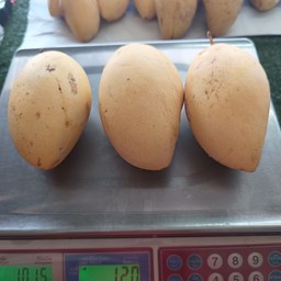 มะม่วงน้ำดอกไม้ (ไซส์3 ลูกโล)