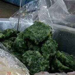 กุ่ยช่ายเหลี่ยม