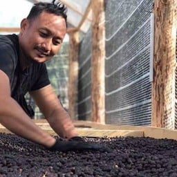 กัลยาณิวัฒนา-ไร่เควิน