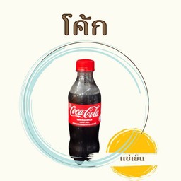 โค้กขวด295ml.เเช่เย็น