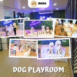 Zucca - The Pet Sanctuary & Cafe Zucca Cafe