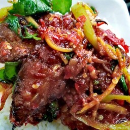 ข้าว + ผัดพริกแกงปลาดุกทอดกรอบ