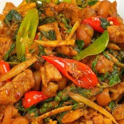 ผัดเผ็ดหมูป่าราดข้าว
