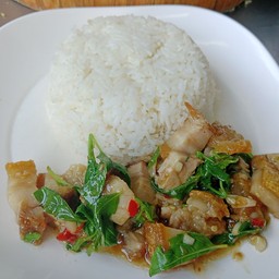กระเพราหมูกรอบ+ข้าว