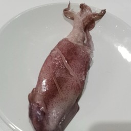 เพิ่มปลาหมึกไข่