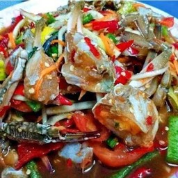เหลาม้าสดๆ