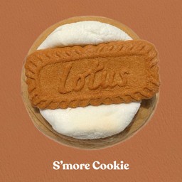 SMORE COOKIES