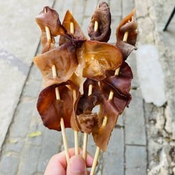 เห็ดหูหนู