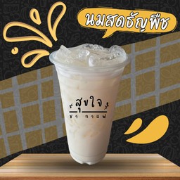 นมสดธัญพืช