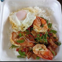 กระเพราทะเล+ไข่ดาว