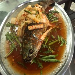 แปะซะปลาช่อน