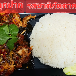 ข้าวซอสกะเพราไก่กรอบ+ไข่ดาว