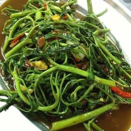 ผัดผักกะเฉด