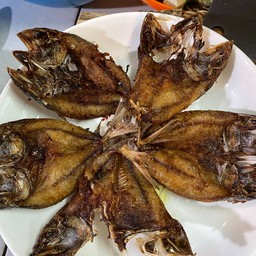 ปลาทูแดดเดียว