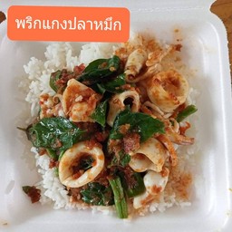 ข้าวพริกแกง ปลาหมึก