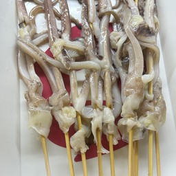 Squid Tentacle