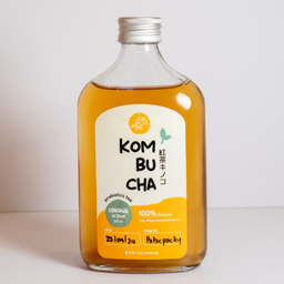 Kombucha for Beginner (14 Days)