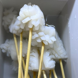 Flower Squid
