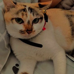 อันนี้แรงนะคะ มองแรงแล้วนะคะ