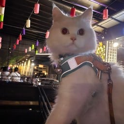 ลูกชิ้นทอด-หน้ารพ.ค่าย