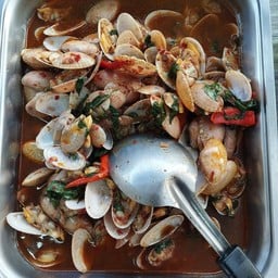ผัดหอยลาย