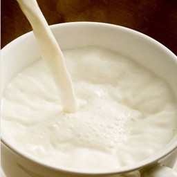 นมสด ร้อน