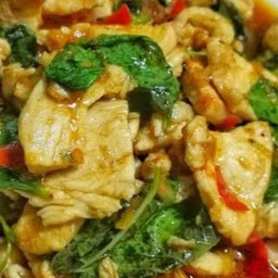 กะเพราอกไก่ราดข้าว