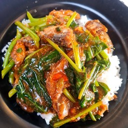 [อร่อยซ่ากับโค้ก] ข้าวราดผัดคะน้าปลากระป๋อง + โค้ก ออริจินัล (กระป๋อง)