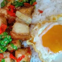 ข้าวกะเพราหมูกรอบ