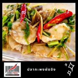 ปลากะพงผัดขิง (กับข้าว)
