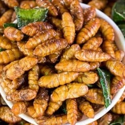 แมลงทอดปันปันอยู่แถวร้านกิ๊ฟช้อป ตลาดยูเทิร์นศรีสะเกษ