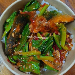 ข้าวคะน้าปลากระป๋อง