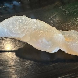 ปลาดอลลี่