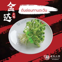 ต้นอ่อนทานตะวัน