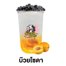 บ๊วยโซดา