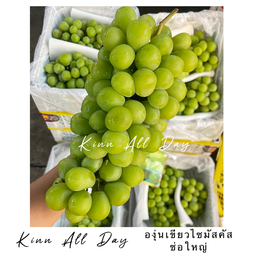 องุ่นเขียวไซมัสคัส ช่อใหญ่ 1 ช่อ