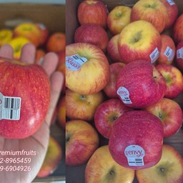 แอปเปิ้ล envy  เมกา