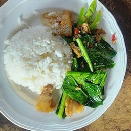 ข้าวราดคะน้าหมูกรอบ
