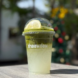 มัจฉะเลม่อน