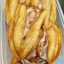 ปลาช่อนทะเลทอด (ปลากิโก๋)