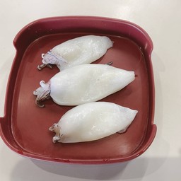 ปลาหมึก