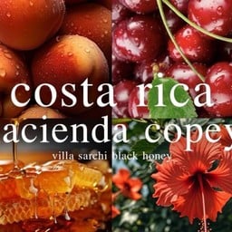 Costa Rica Hacienda Copey