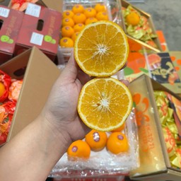 ส้มไต้หวัน ยกตะกร้า 5 กิโลรวมตะกร้า