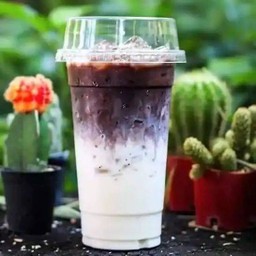 โกโก้นมสด