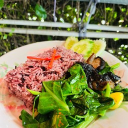 ข้าว-ผัดคะน้าแปะก๊วยเห็ดหอม (มังสวิรัติ)