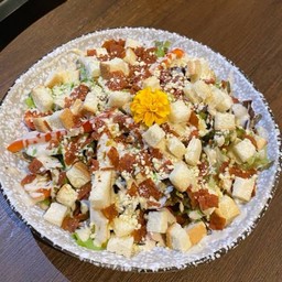 ซีซ่าร์สลัด Caesar Salad