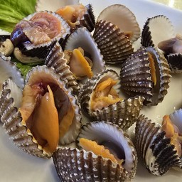 หอยแครงลวก