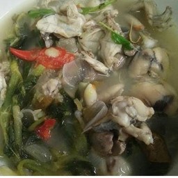 ต้มกบใส่ผักกะแยง