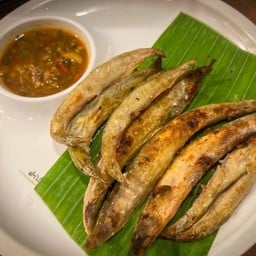 ปลาหลดย่าง