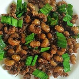 เจ๊แหม่มแมลงทอด ตลาดนัด 20 มิถุนา
